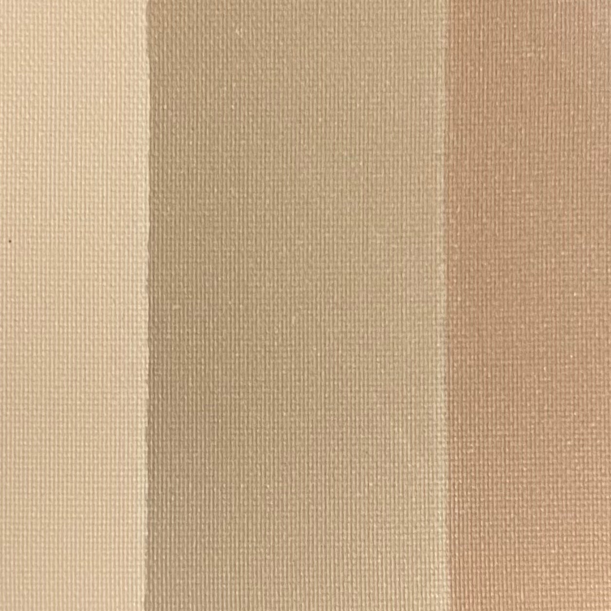 シェーディング/coou/シェーディングを使ったクチコミ(4枚目)