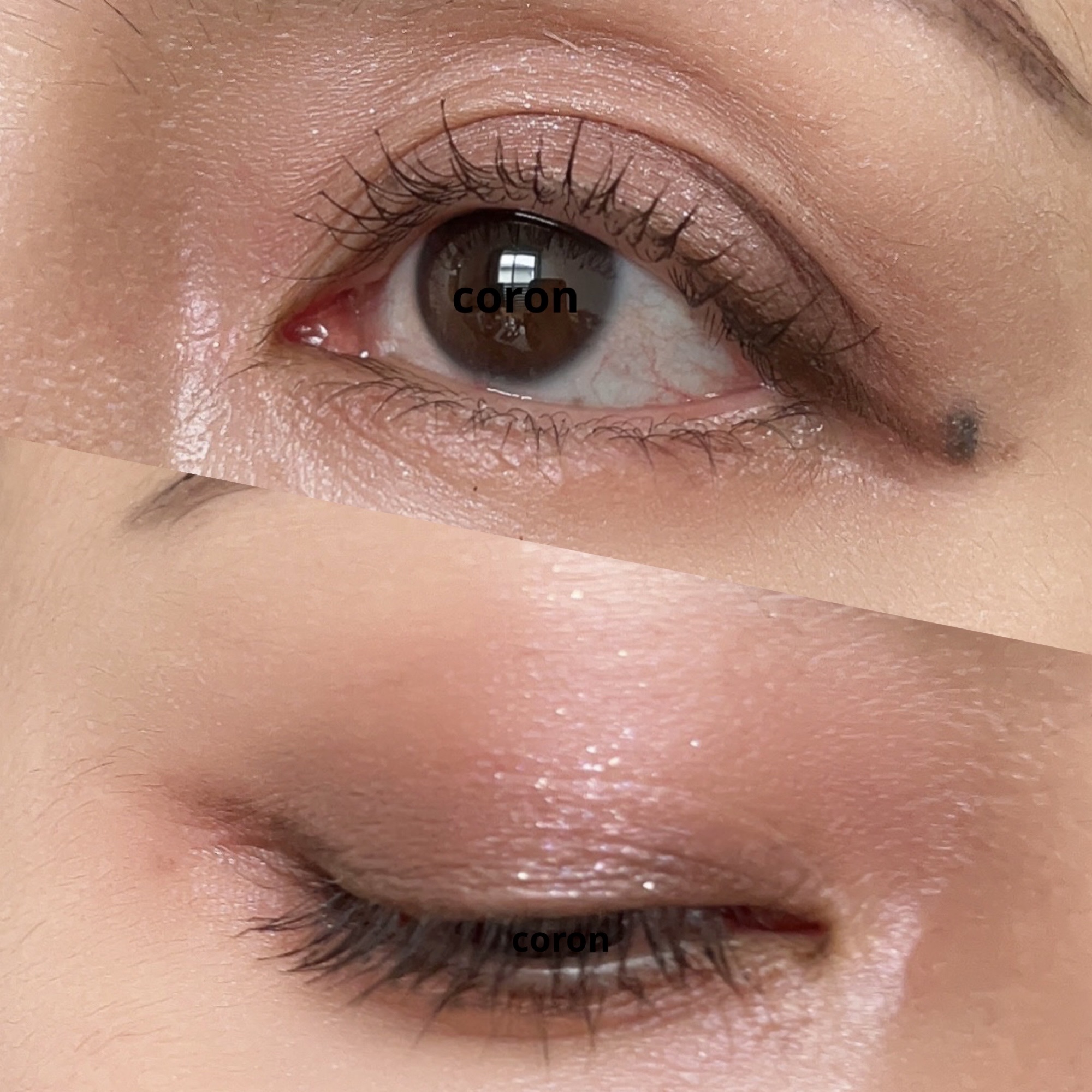 ジルスチュアート ムースブロウマスカラ/JILL STUART/眉マスカラを使ったクチコミ（2枚目）