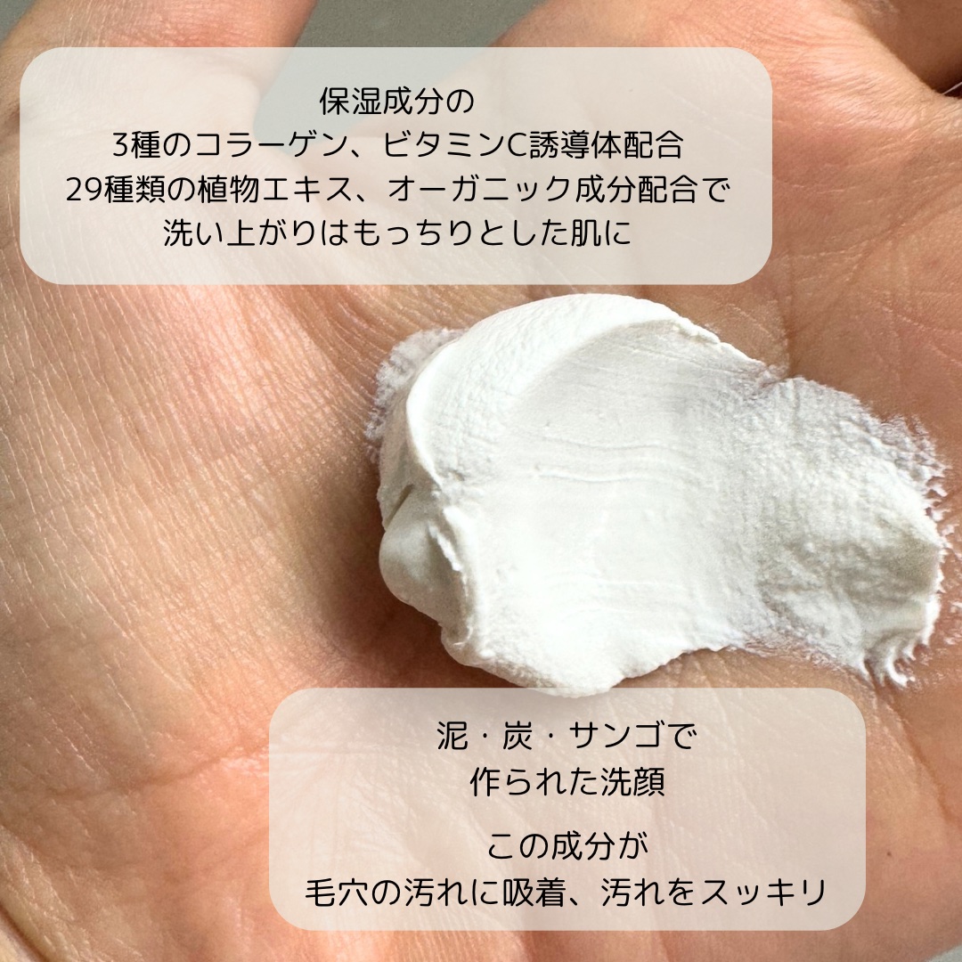 Natural Clay wash/SkinBaby/洗顔フォームを使ったクチコミ（2枚目）