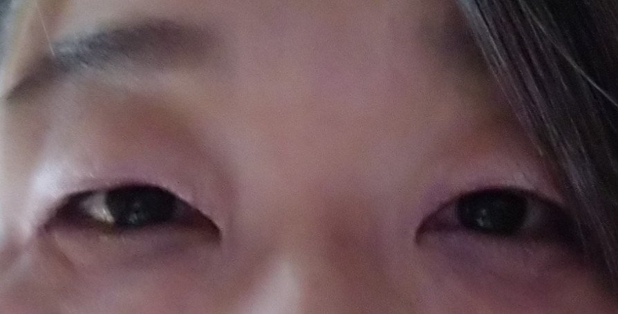 オールデイ ボリュームアンドカールマスカラ/Milk Touch/マスカラを使ったクチコミ（2枚目）