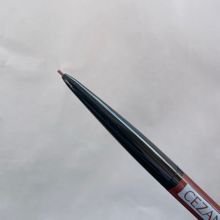 ノーズ&アイブロウパウダー/CEZANNE/パウダーアイブロウを使ったクチコミ(2枚目)