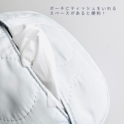 シークレットビューティーパウダー/キャンメイク/プレストパウダーを使ったクチコミ(9枚目)