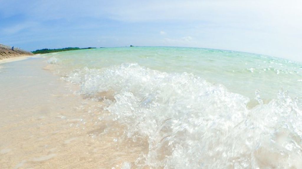 クールシャンプー/HAIR & MAKE EARTH（アースホールディングス）/シャンプー・コンディショナーを使ったクチコミ（1枚目）