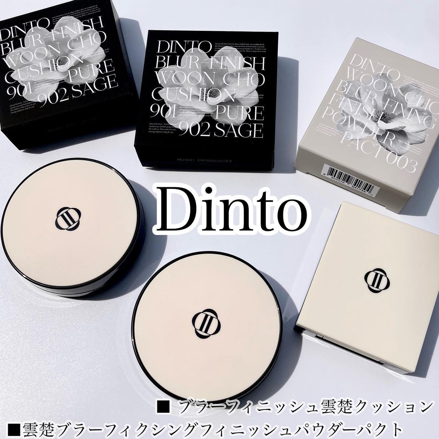 ブラーフィニッシュ雲楚クッション/Dinto/クッションファンデーションを使ったクチコミ(1枚目)