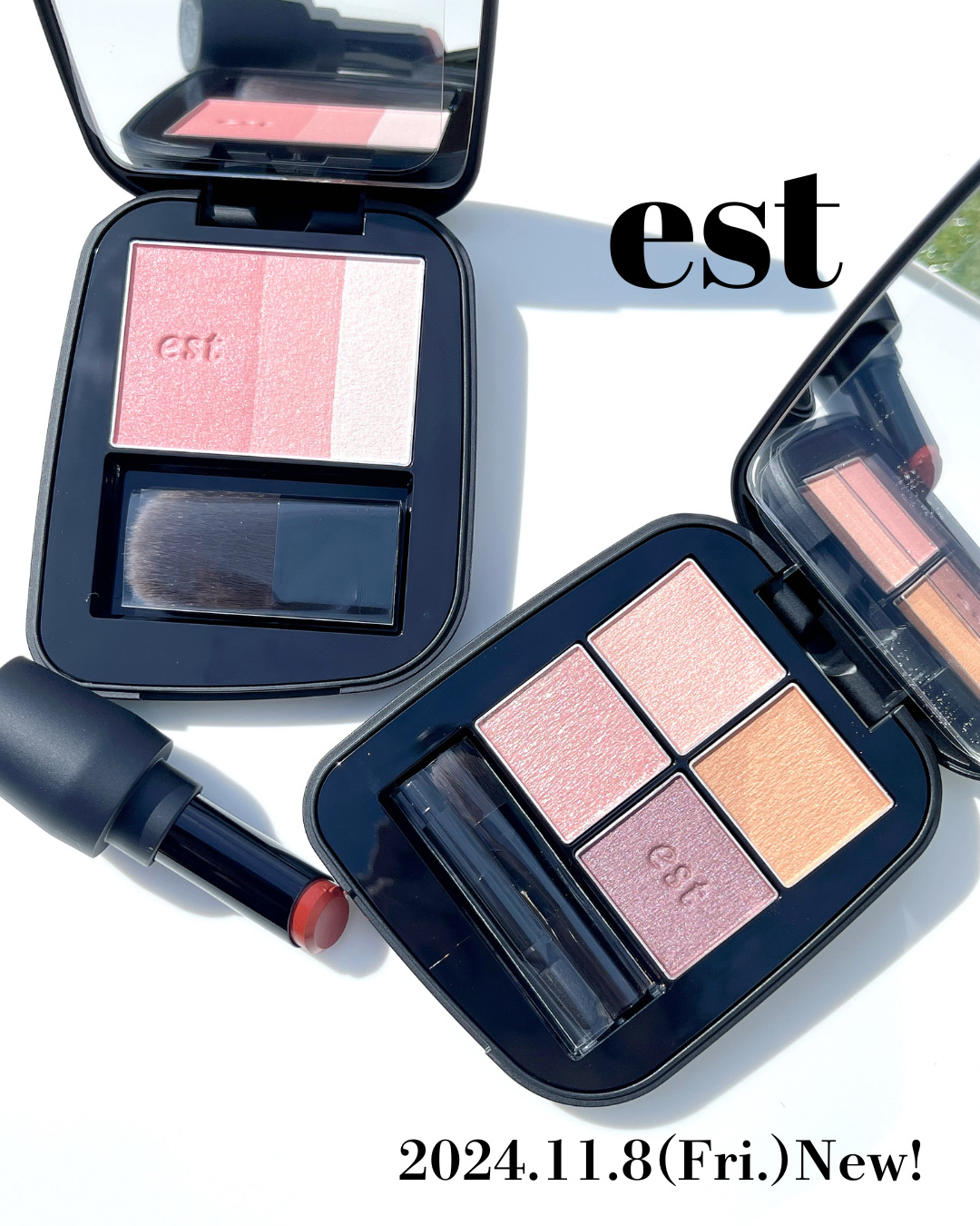 エスト トランスフィア アイカラー/est/アイシャドウパレットを使ったクチコミ（1枚目）