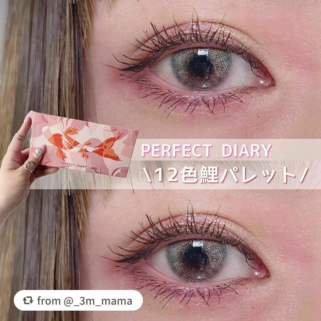 エクスプローラ12色 動物アイシャドウパレット/PERFECT DIARY/アイシャドウパレットを使ったクチコミ(1枚目)