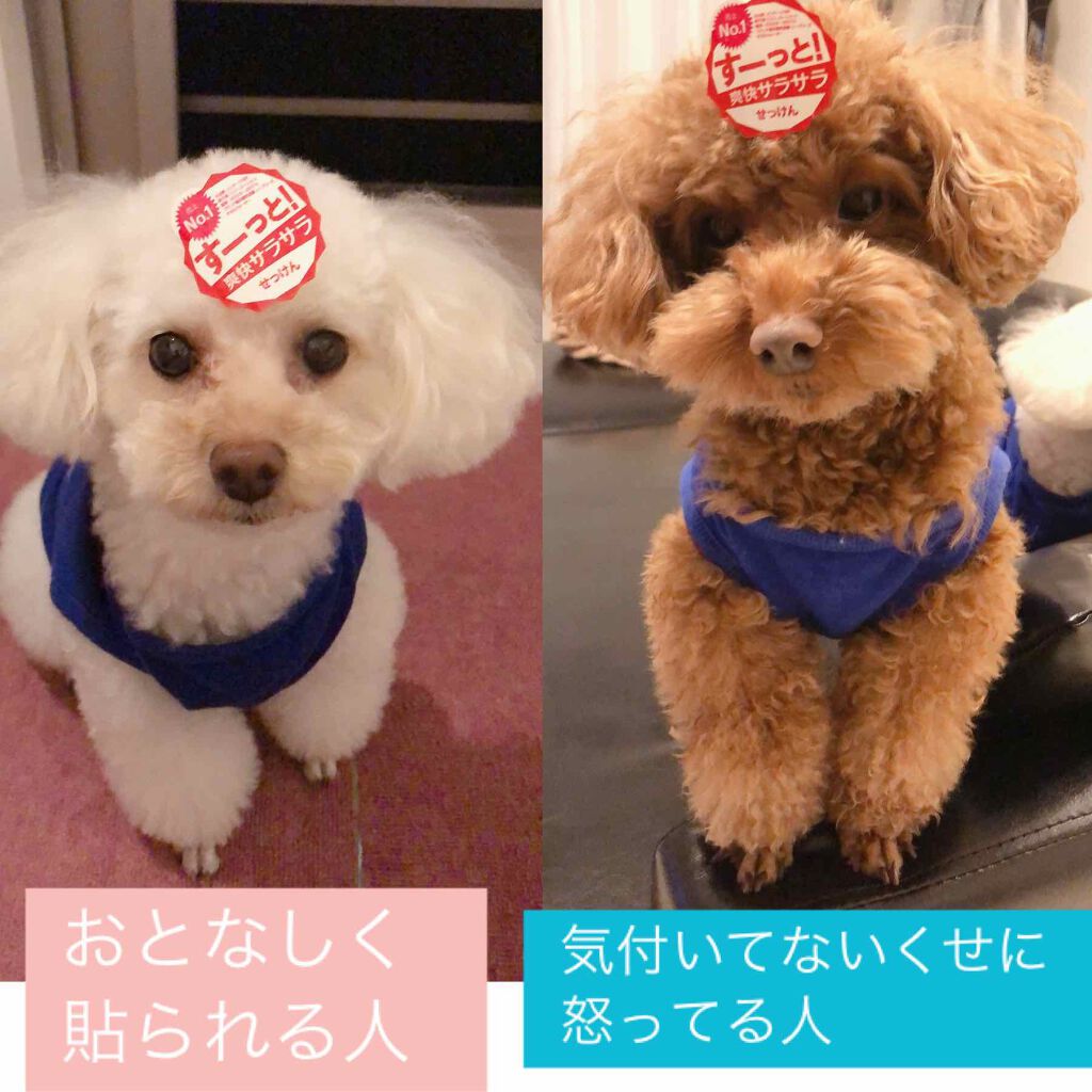 ナリスアップ ぐーぴたっ 豆乳おからビスケット 抹茶/ぐーぴたっ/低糖質食品を使ったクチコミ（3枚目）