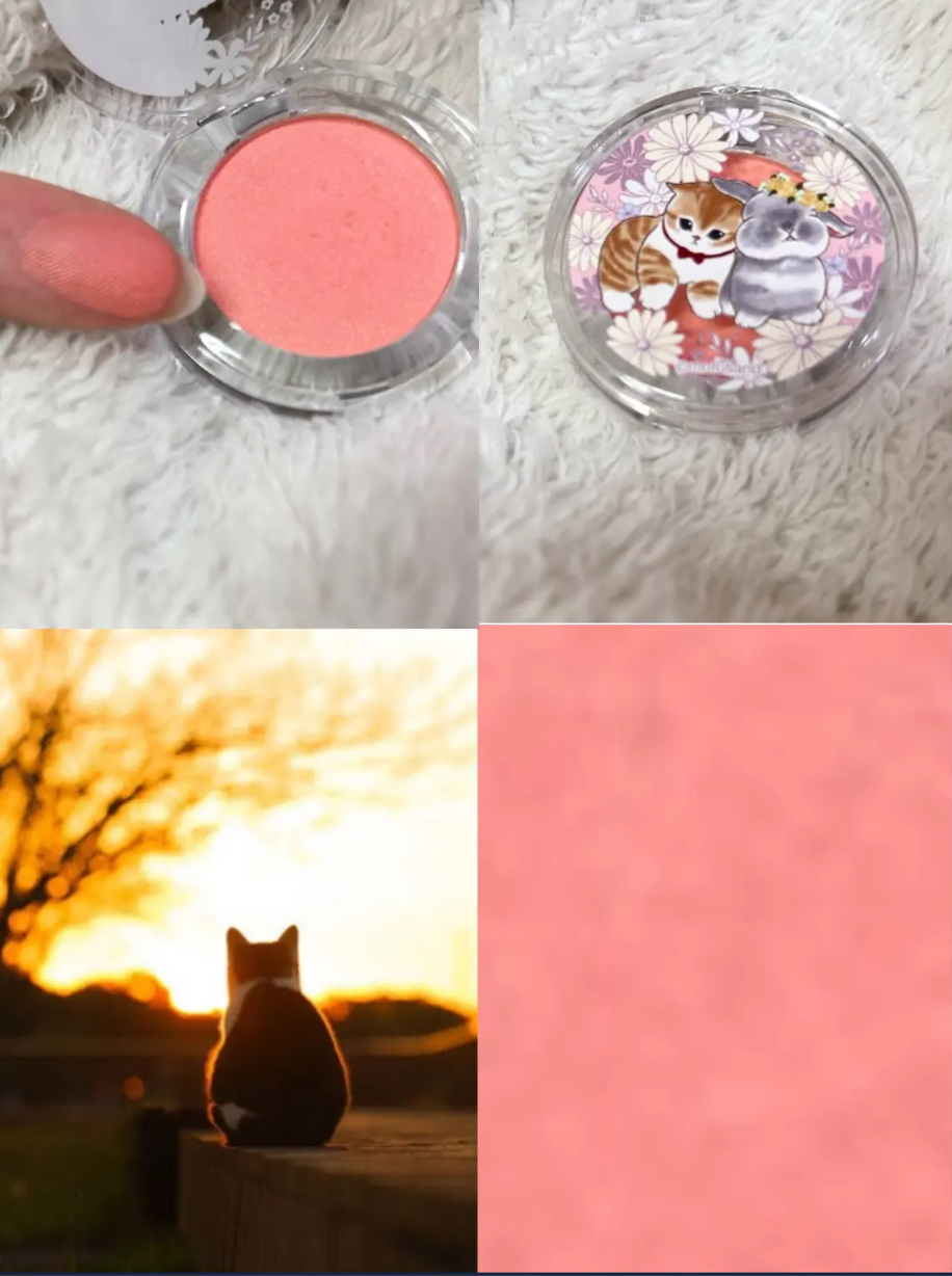 ポンデクルール　mofusand　マルチカラーパウダー うさにゃんB/クレアボーテ/単色アイシャドウを使ったクチコミ（1枚目）