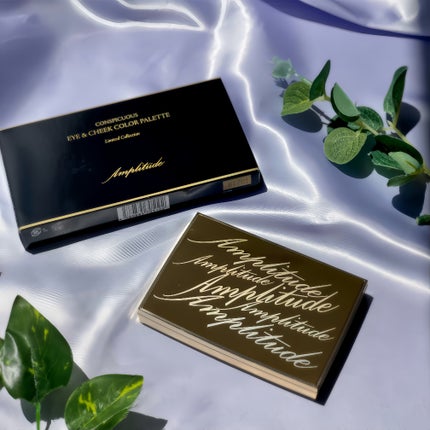 コンスピキュアス アイ&チークカラーパレット リミテッドコレクション a/Amplitude/アイシャドウパレットを使ったクチコミ(4枚目)