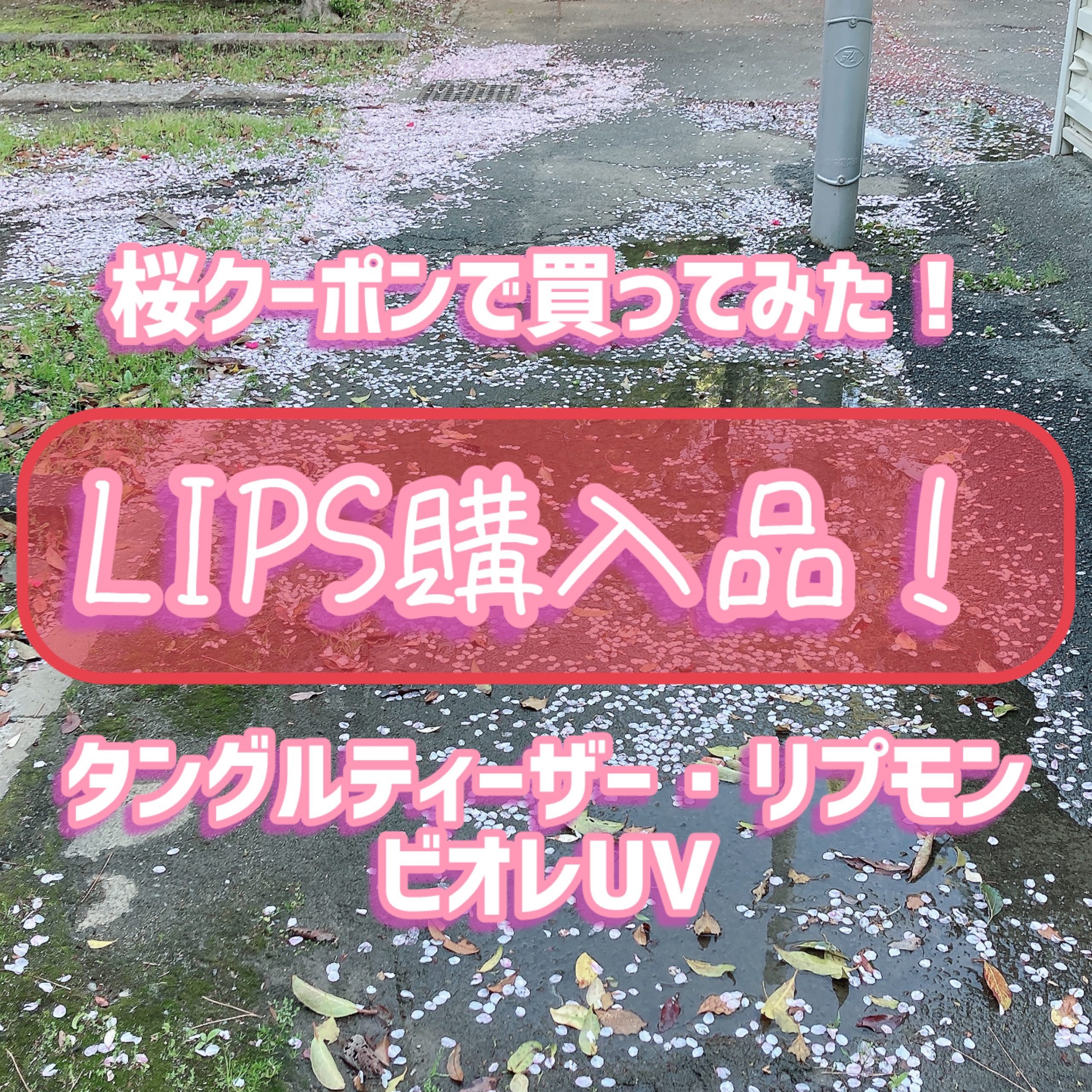 ケイト リップモンスター/KATE/口紅を使ったクチコミ（1枚目）