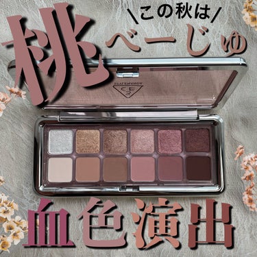 3CE NEW TAKE EYESHADOW PALETTE/3CE/アイシャドウを使ったクチコミ（1枚目）