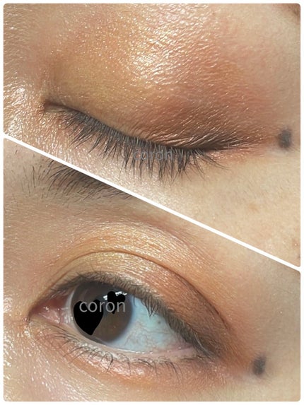 シグニチャー カラー アイズ/SUQQU/アイシャドウパレットを使ったクチコミ(2枚目)