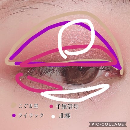 ナイストゥミーチュートランク/MAJOLICA MAJORCA/アイシャドウパレットを使ったクチコミ(6枚目)
