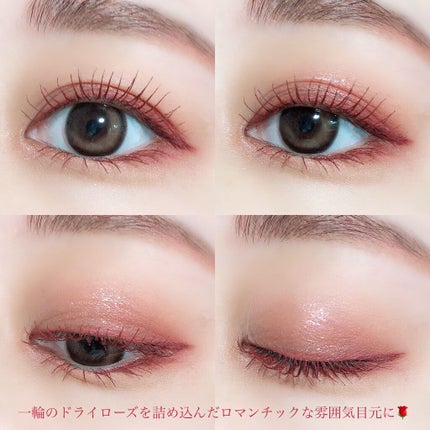 プロアイシャドウパレットセシル/CELEFIT/アイシャドウパレットを使ったクチコミ(5枚目)