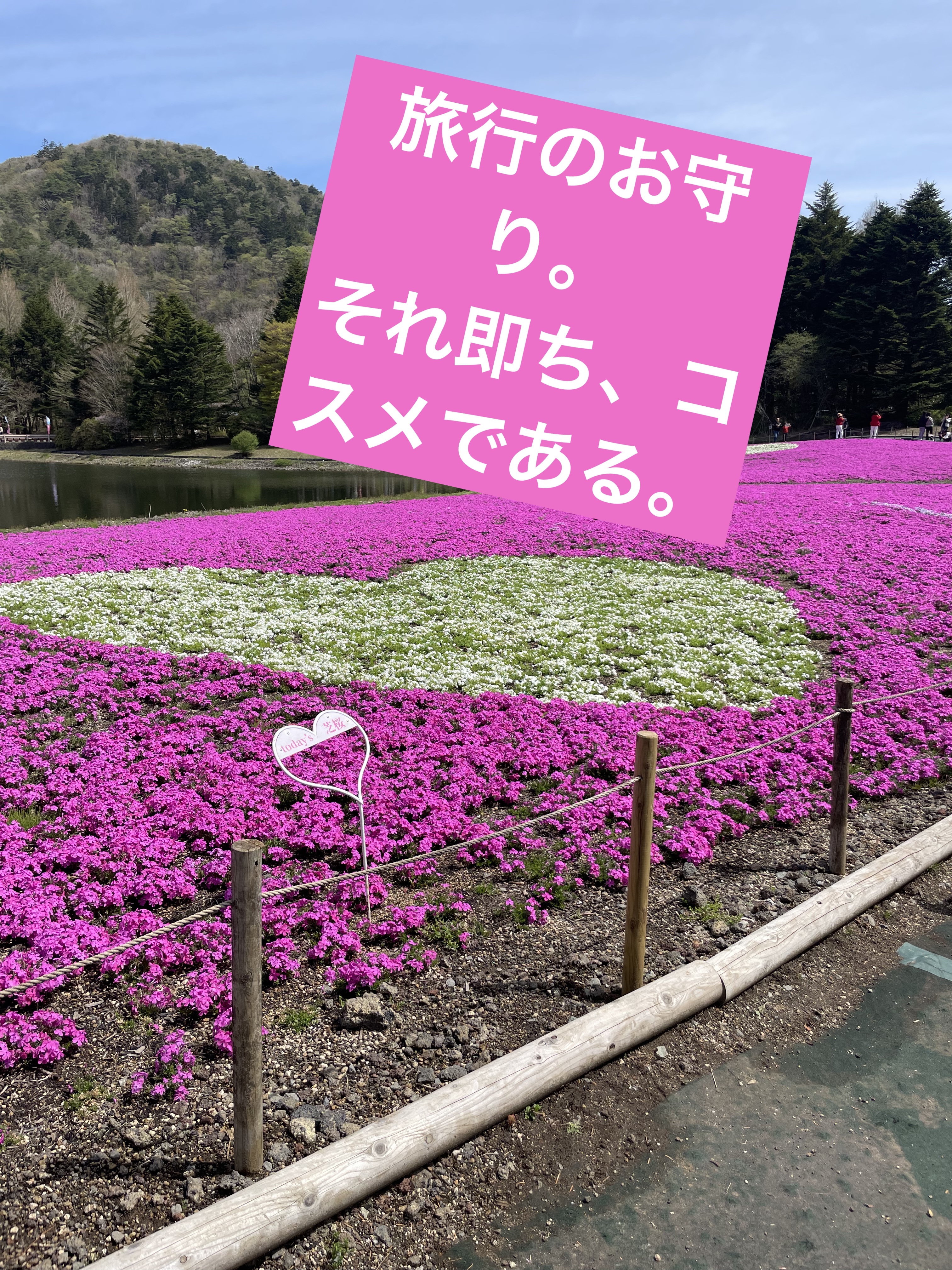 スモール アイシャドウ/M・A・C/単色アイシャドウを使ったクチコミ（1枚目）