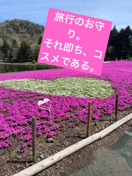 ディオールスキン フォーエヴァー クチュール ルミナイザー/Dior/プレストパウダーを使ったクチコミ(1枚目)