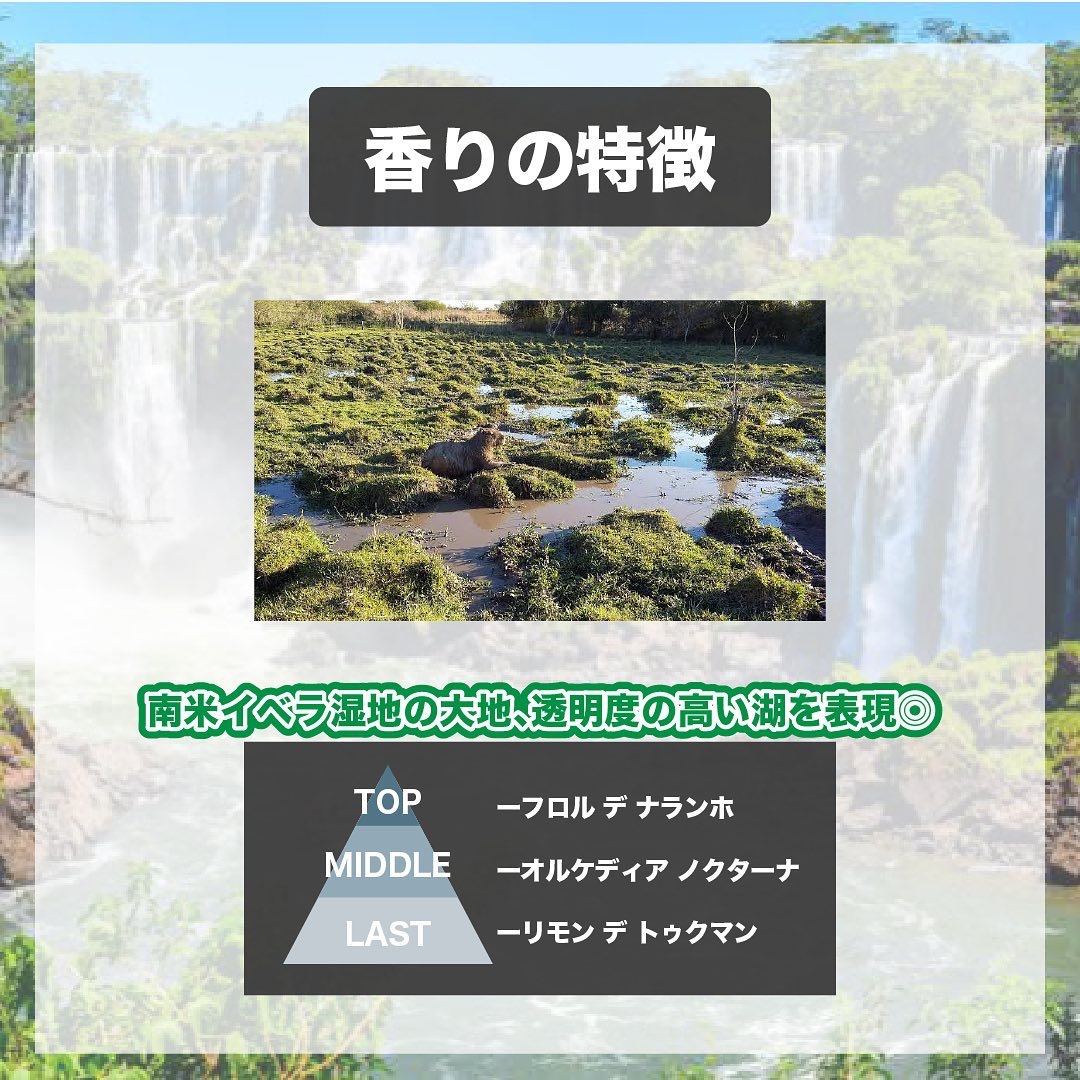クリスタル デル イベラ /FUEGUIA 1833/香水(その他)を使ったクチコミ（3枚目）