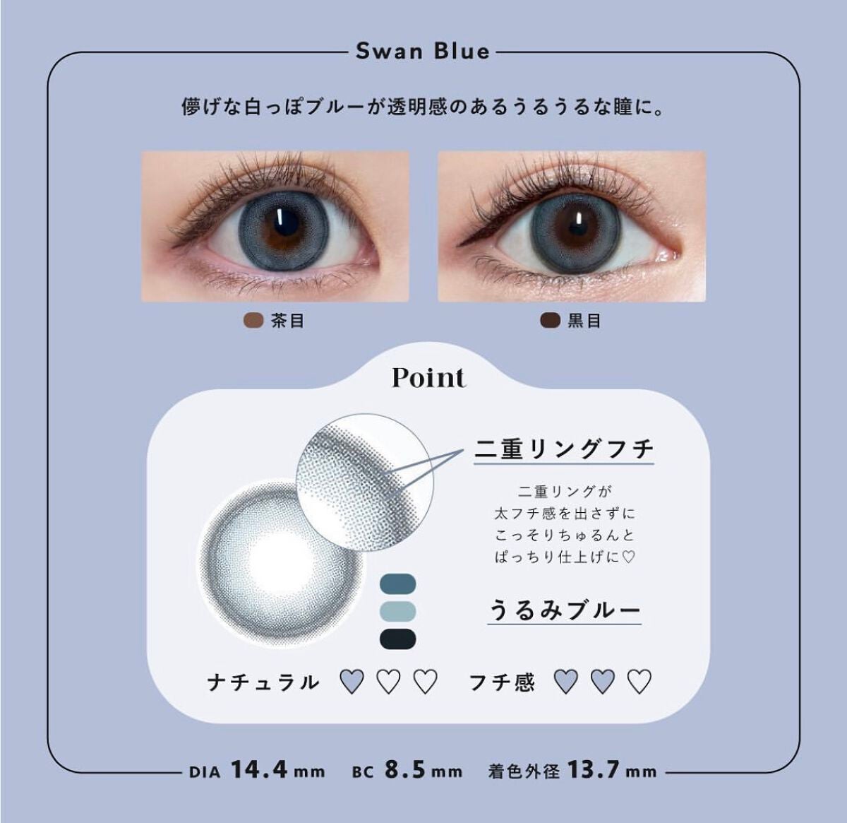 Angelcolor Bambi Series 1day /AngelColor/ワンデー(1DAY)カラコンを使ったクチコミ(3枚目)