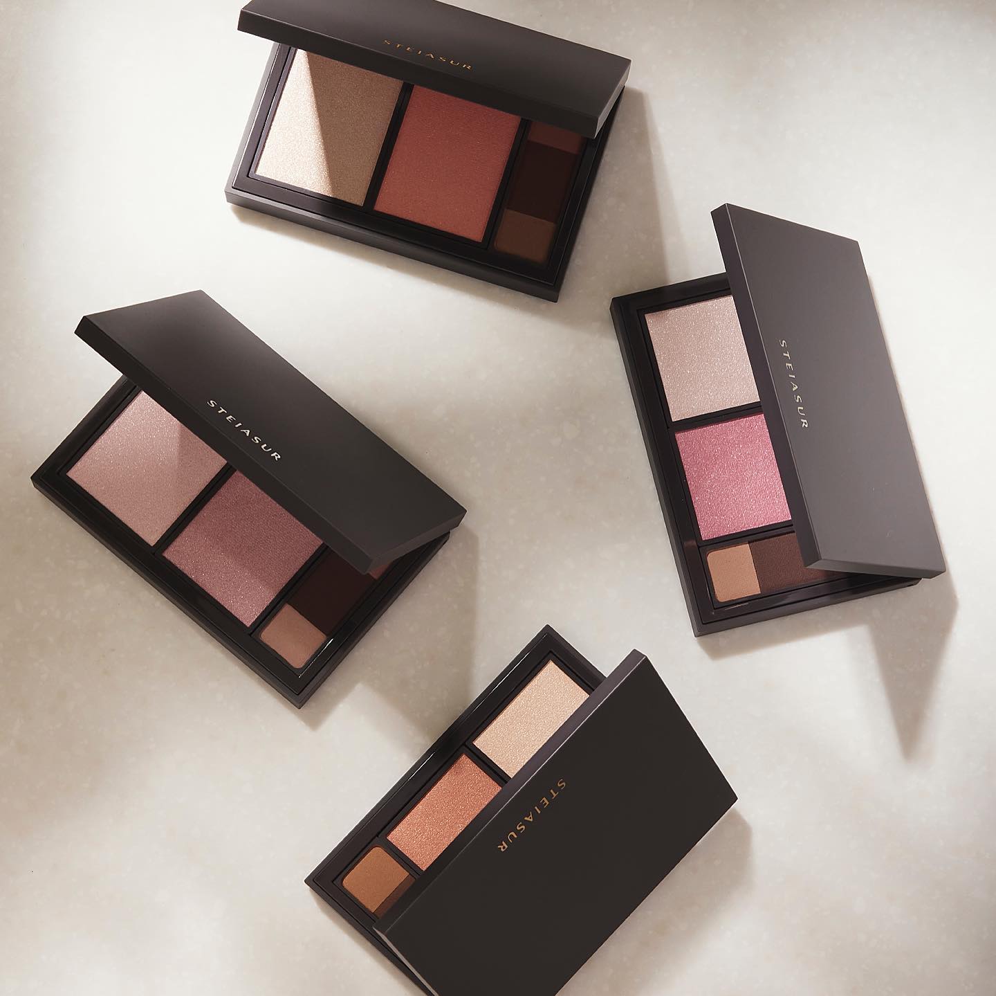 フィット my カラーパレット/STEIASUR（ステイアシュール）/マルチパレットを使ったクチコミ（2枚目）