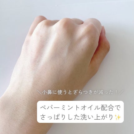 ティーツリーCクレイパックS/BRING GREEN/洗い流すパック・マスクを使ったクチコミ(5枚目)