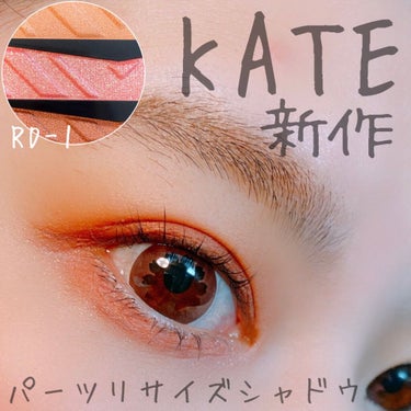 パーツリサイズシャドウ/KATE/アイシャドウパレットを使ったクチコミ（1枚目）