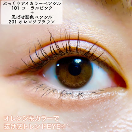 ぷっくりアイカラーペンシル/ミゼルエディ/スティックアイシャドウを使ったクチコミ(5枚目)