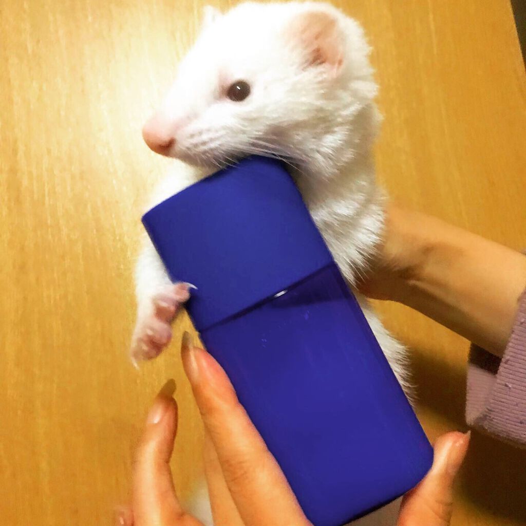 クリアウェルネス ナチュラル ドリップ/雪肌精/化粧水を使ったクチコミ(2枚目)