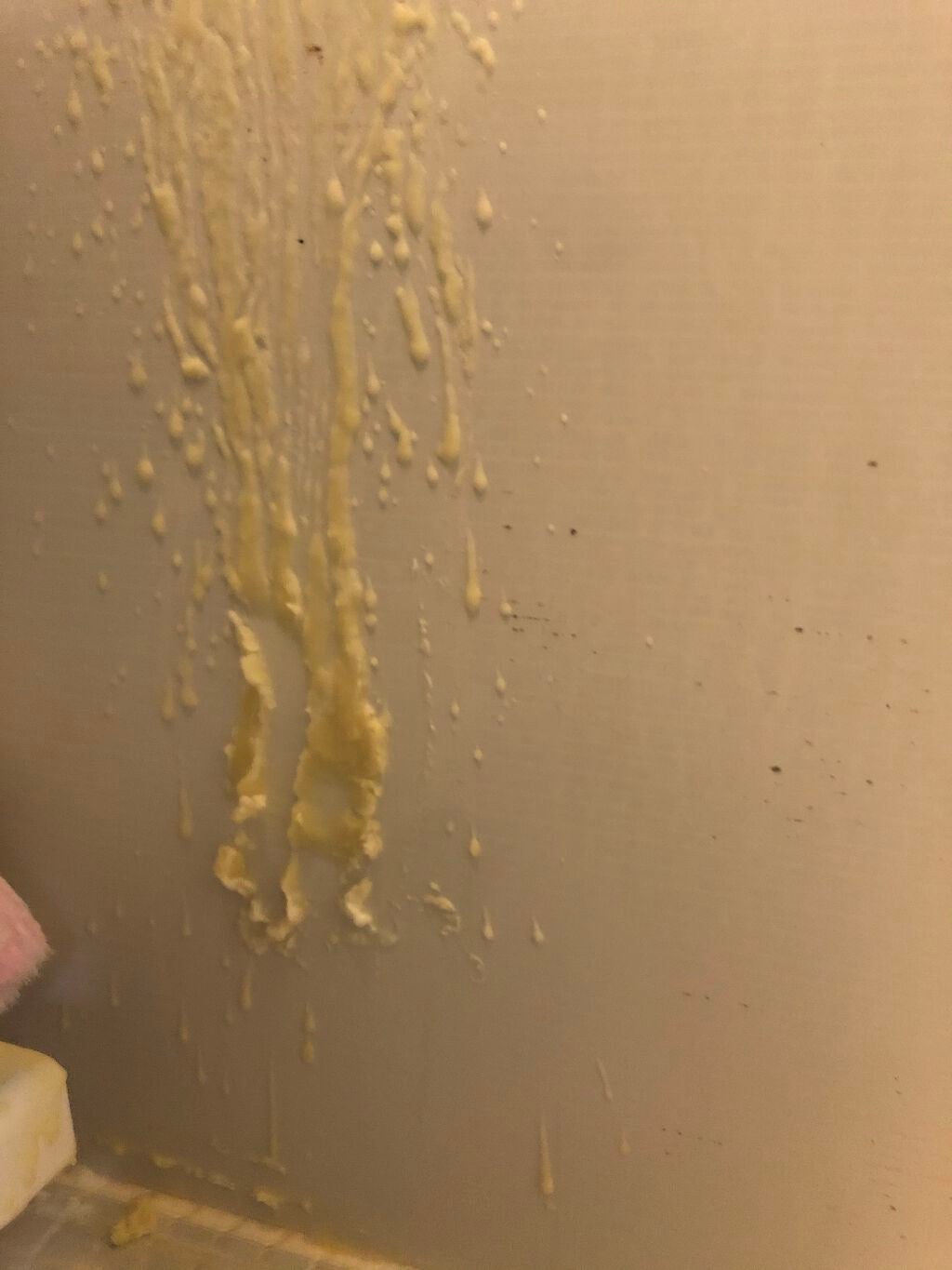 ロウィーナ・バード ネイキッド ボディコンディショナー/ラッシュ/ボディクリームを使ったクチコミ(3枚目)