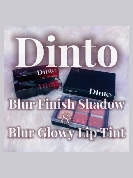 ブラーフィニシュシャドウパレット/Dinto/アイシャドウパレットを使ったクチコミ(1枚目)