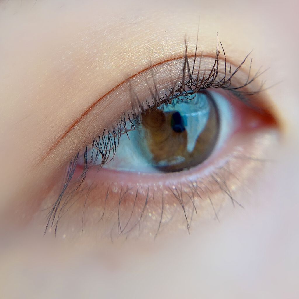 ヴォランタリーベイシス アイパレット/Celvoke/アイシャドウパレットを使ったクチコミ(6枚目)