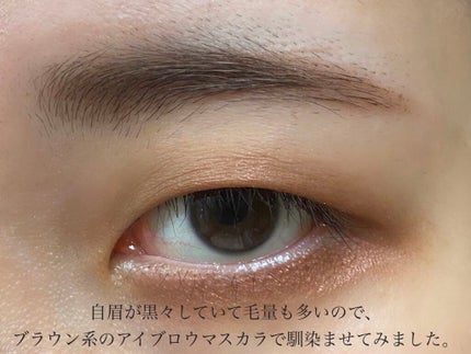 フーミー アイブロウパウダー/WHOMEE/パウダーアイブロウを使ったクチコミ(7枚目)