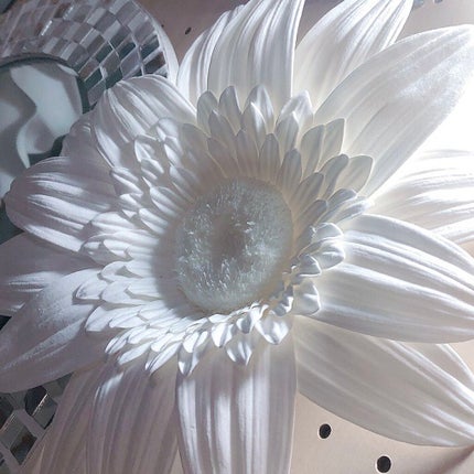 シリカシリカ/美いね!/ミネラルウォーターを使ったクチコミ(1枚目)