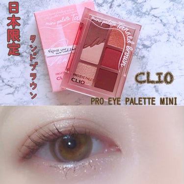 プロ アイパレット ミニ/CLIO/アイシャドウパレットを使ったクチコミ（1枚目）