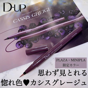 シルキーリキッドアイライナーWP カシスグレージュ/D-UP/リキッドアイライナーを使ったクチコミ（1枚目）