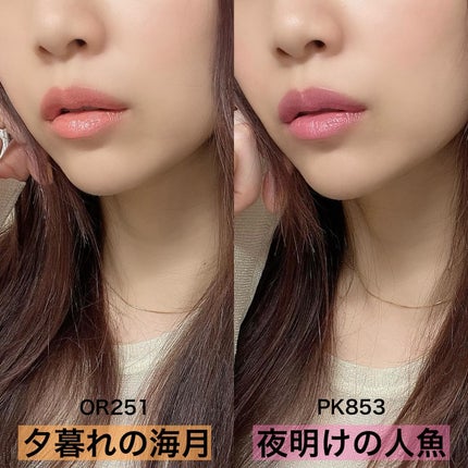 ネンマクフェイク ルージュ/Visée/口紅を使ったクチコミ(2枚目)