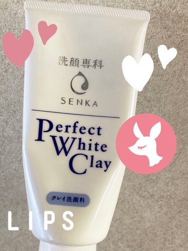 パーフェクト ホワイトクレイn (旧)/SENKA（専科）/洗顔フォームを使ったクチコミ（1枚目）