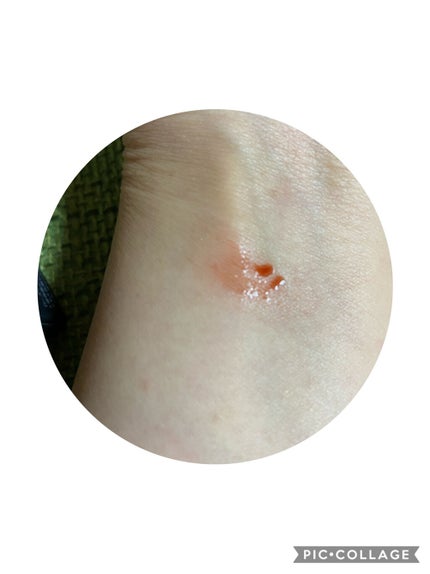 kakeruフォロバ100% on LIPS 「1/8発売のチークテイントを購入。雑誌で見て感で001と003..」(2枚目)