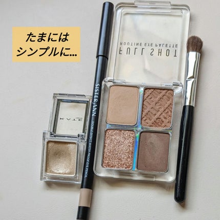 ケイト ザ アイカラー/KATE/単色アイシャドウを使ったクチコミ(1枚目)