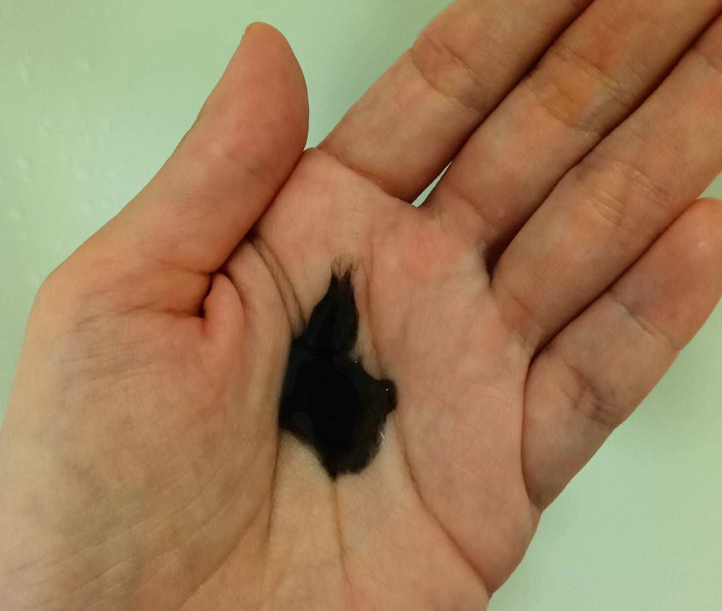 SILK THE RICH スカルプ&リペア シャンプー・トリートメント/SILK THE RICH/市販シャンプーを使ったクチコミ(2枚目)