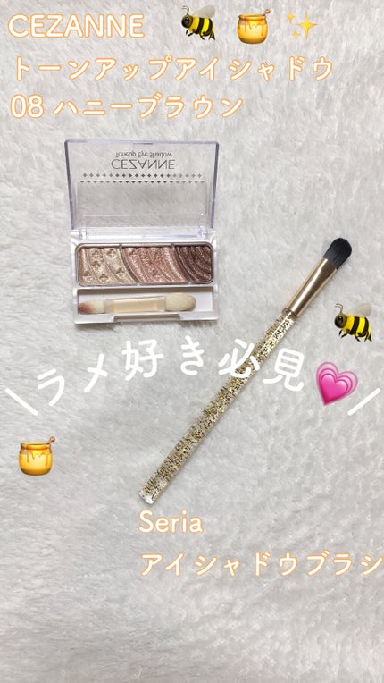 トーンアップアイシャドウ/CEZANNE/アイシャドウパレットを使ったクチコミ(1枚目)