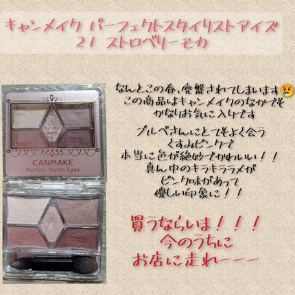 【旧品】パーフェクトスタイリストアイズ/キャンメイク/アイシャドウパレットを使ったクチコミ(3枚目)