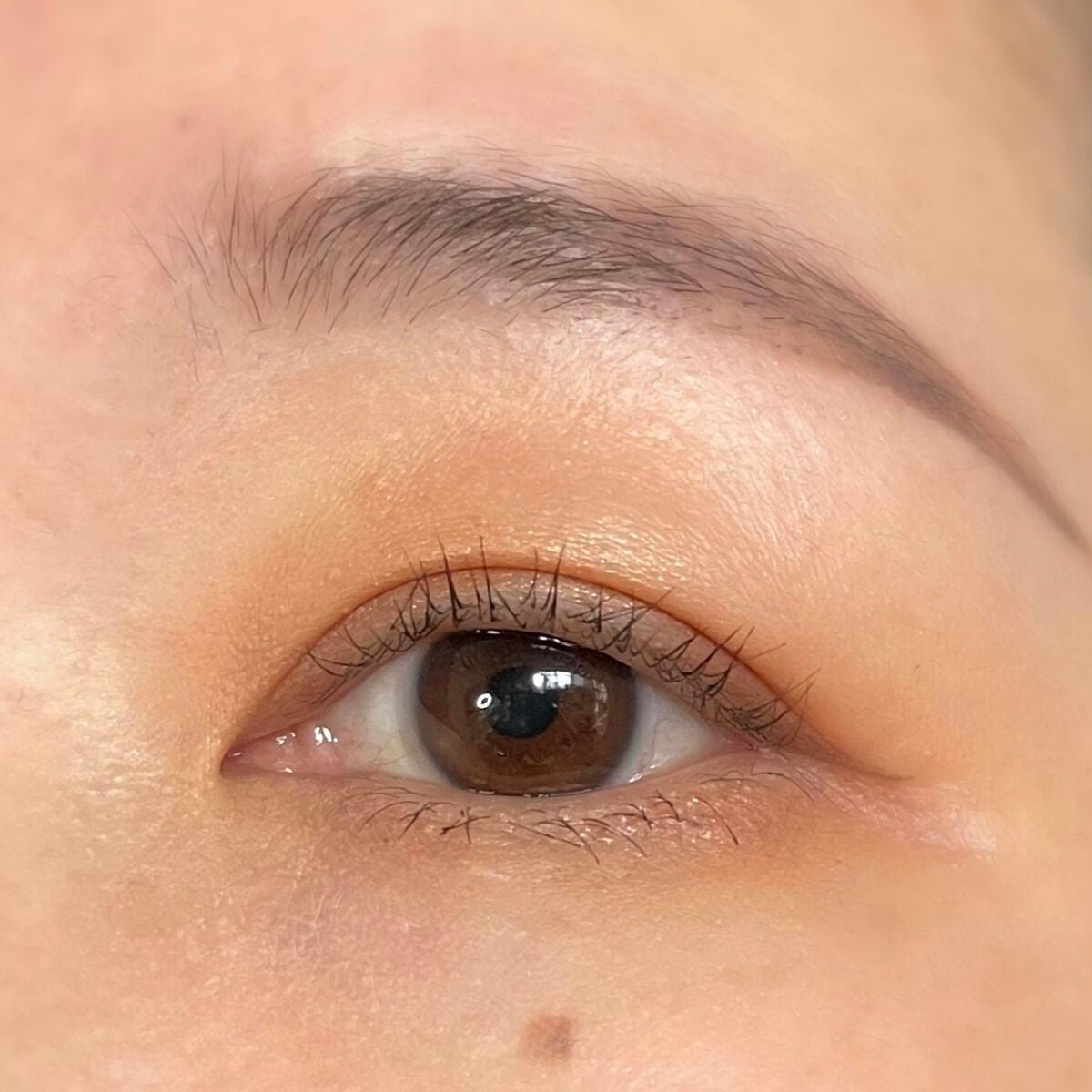 アイ カラー クォード/TOM FORD BEAUTY/アイシャドウパレットを使ったクチコミ(5枚目)