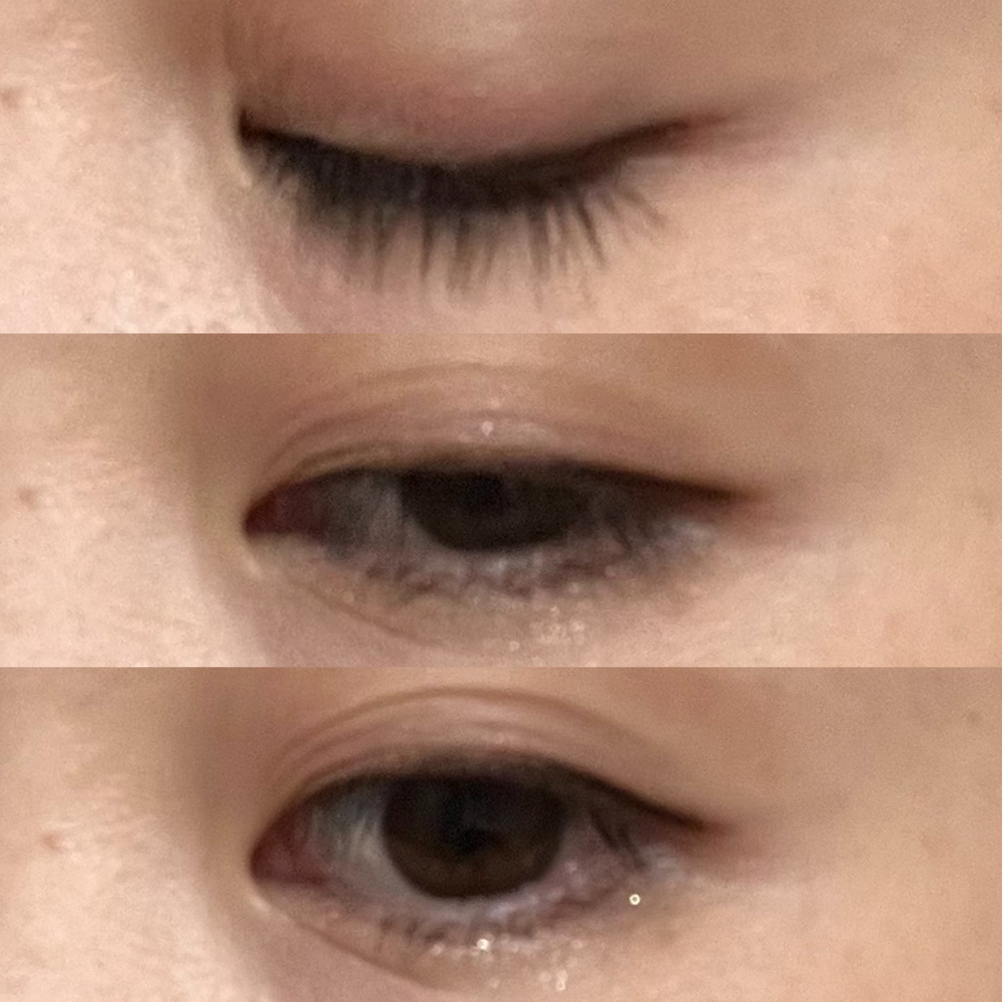 きぎ / フォロバします on LIPS 「🐼メイク落としの時でさえパンダ目にならないアイライナー🐼___..」(4枚目)