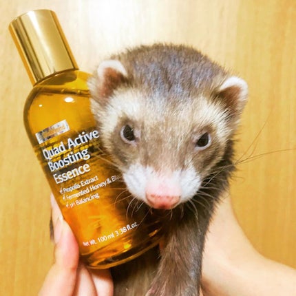 クアッドアクティブブースティングエッセンス/By Wishtrend/美容液を使ったクチコミ(3枚目)