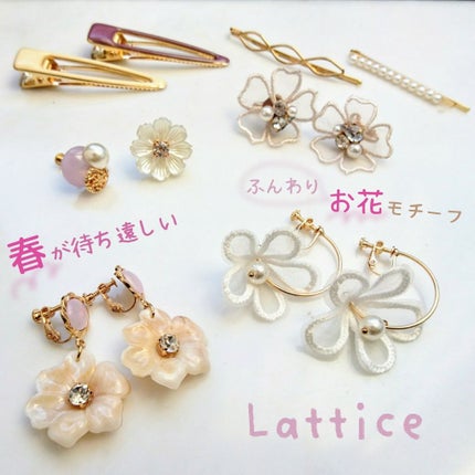 イヤリング/Lattice/その他を使ったクチコミ(1枚目)