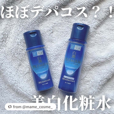 白潤プレミアム 薬用浸透美白化粧水(しっとりタイプ)/肌ラボ/化粧水を使ったクチコミ（1枚目）