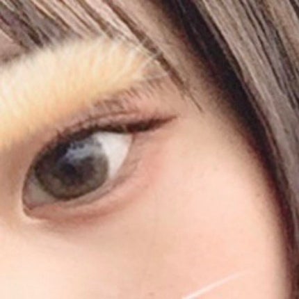 クイックイージーアイライナー/キャンメイク/リキッドアイライナーを使ったクチコミ(1枚目)