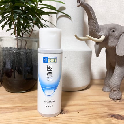 極潤ヒアルロン液(ハダラボモイスト化粧水d)/肌ラボ/化粧水を使ったクチコミ(1枚目)