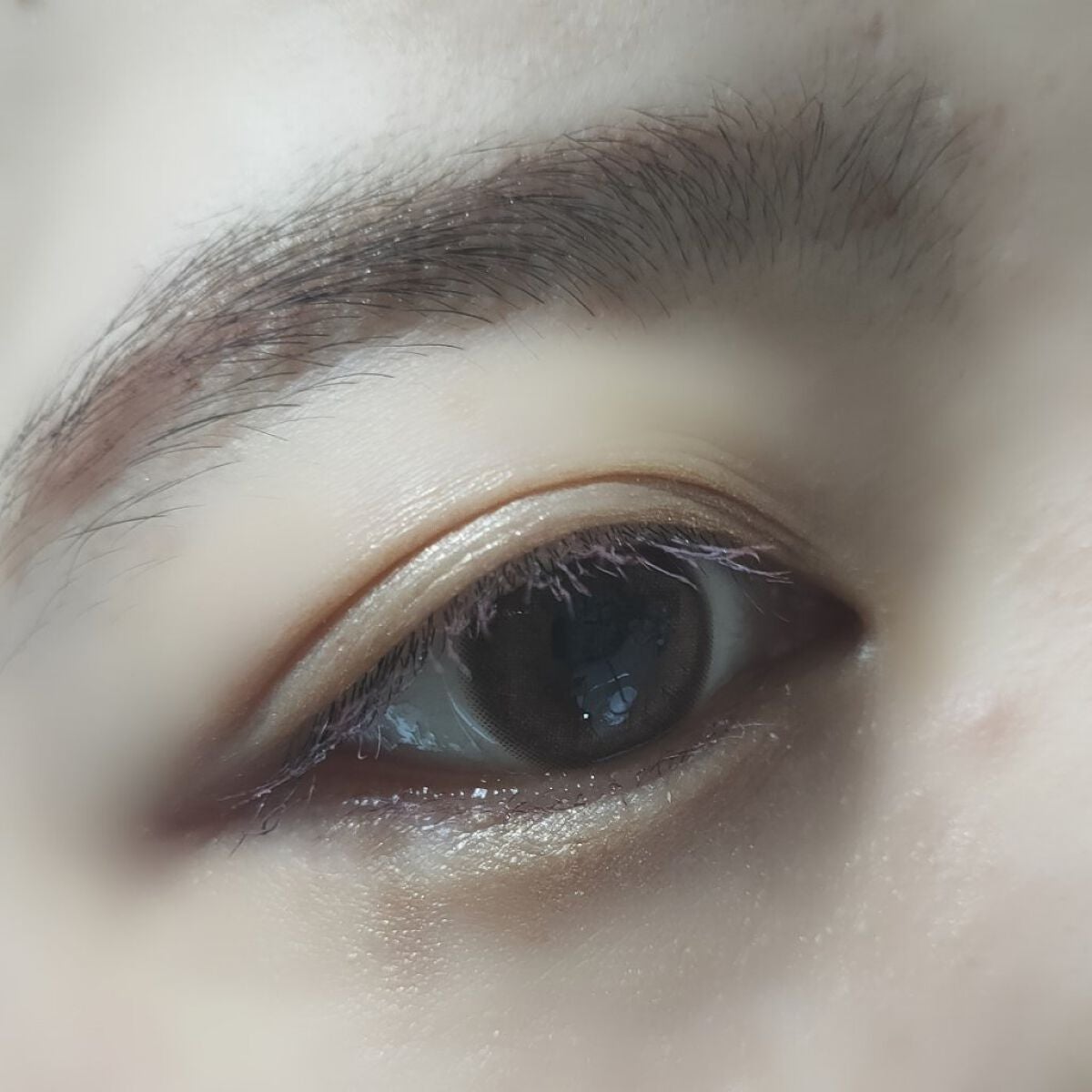 極細アイブロウマスカラ/CEZANNE/眉マスカラを使ったクチコミ(3枚目)