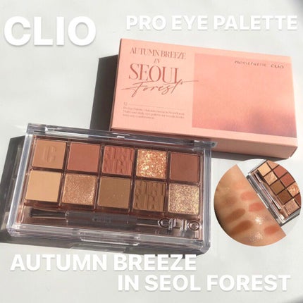 プロ アイ パレット/CLIO/アイシャドウパレットを使ったクチコミ(1枚目)